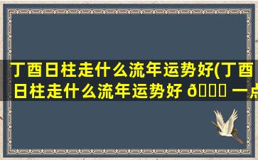 丁酉日柱走什么流年运势好(丁酉日柱走什么流年运势好 🍀 一点)